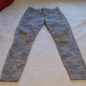 Hudson Jeans Camouflage Pants in Gray and Green
